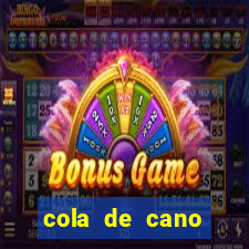cola de cano quanto tempo para secar